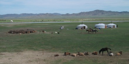 Mongolia Iurte (Găr) & Turme