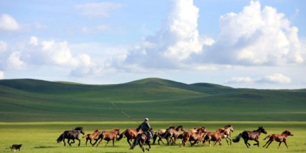 Mongolia cai
